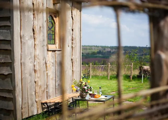 The Queen Bee Cabin