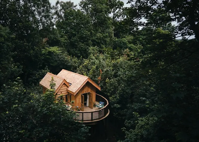 Wildhive Callow Hall