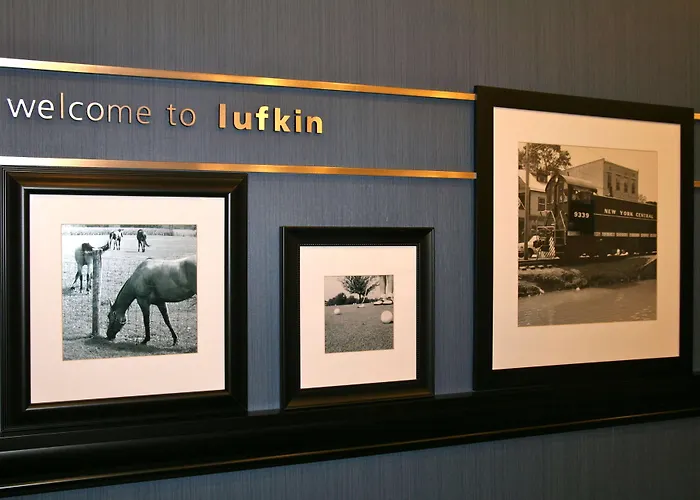 Hampton Inn And Suites Lufkin