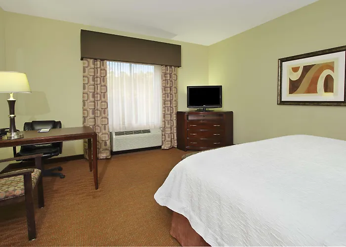Hampton Inn & Suites Conroe I 45 North