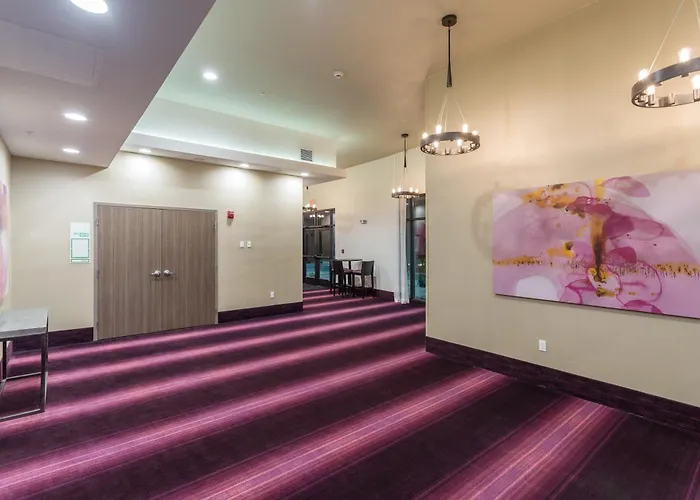 Holiday Inn San Marcos Convention Center By Ihg
