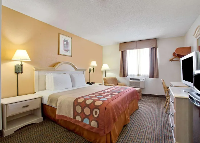 Super8 By Wyndham Nearby Clearwater St Petersburg International Airport