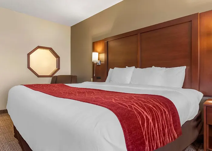Comfort Inn & Suites Streetsboro - Kent