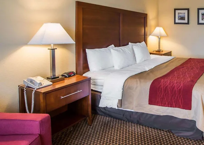 Comfort Inn & Suites Morganton South
