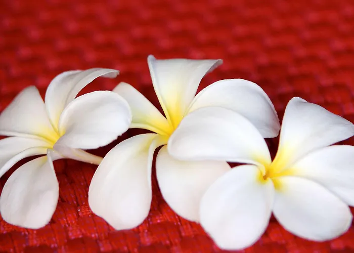 Sofitel Bora Bora Marara Beach Resort