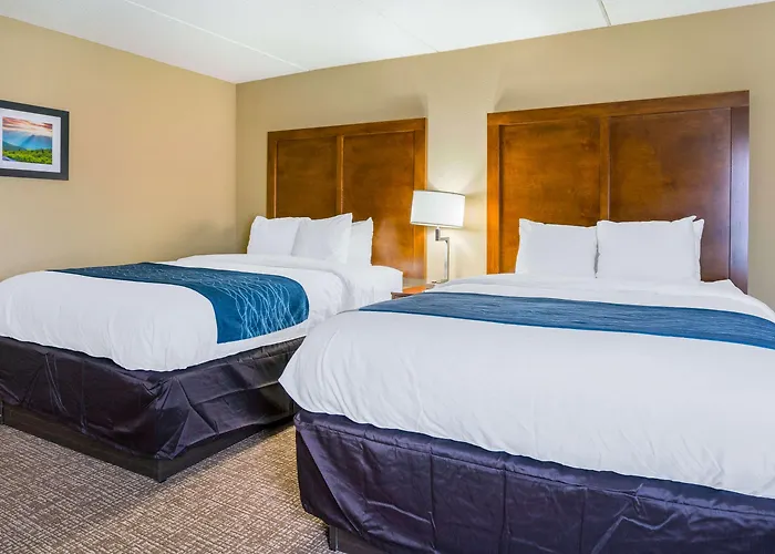 Comfort Inn Near Rocky Mount Sports Complex