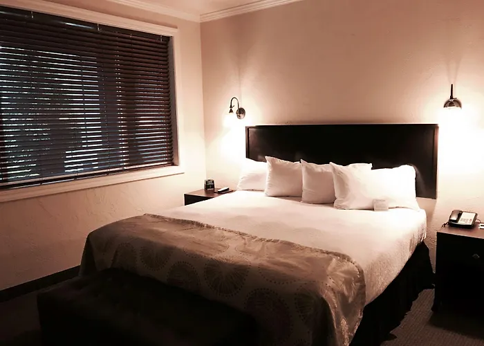 Best Western Wesley Inn & Suites