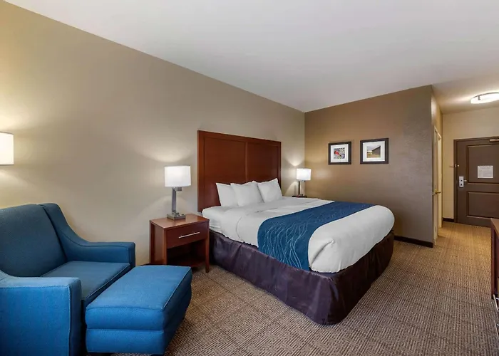 Comfort Inn & Suites Northern Kentucky