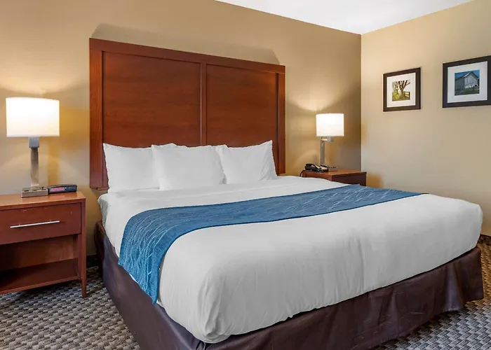 Comfort Inn & Suites Napoleon