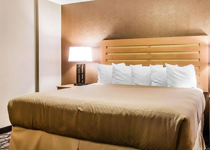 Quality Inn & Suites Warren - Detroit