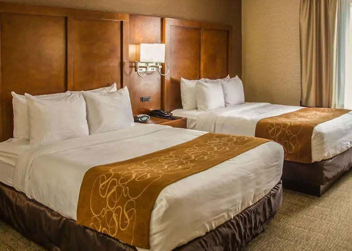 Quality Suites Nyc Gateway