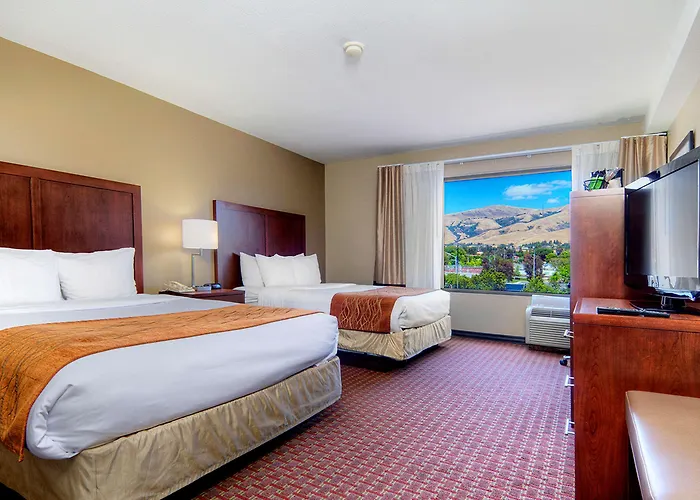 Comfort Inn Silicon Valley East