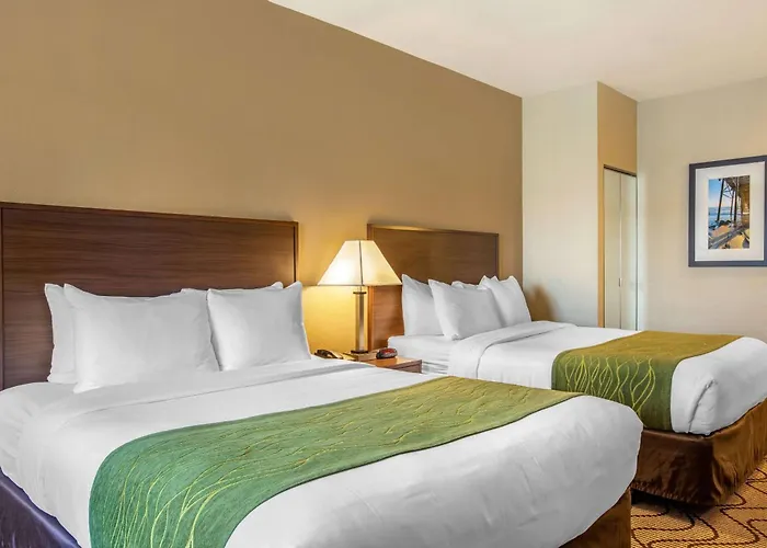 Comfort Inn & Suites Orange County John Wayne Airport