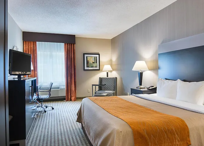 Comfort Inn Camden