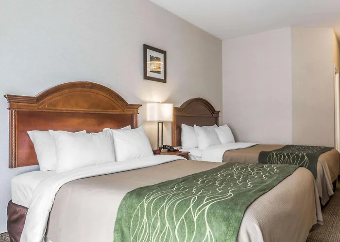 Comfort Inn & Suites South Burlington Near University