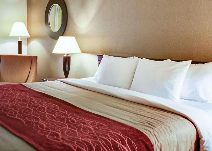Quality Inn Florence