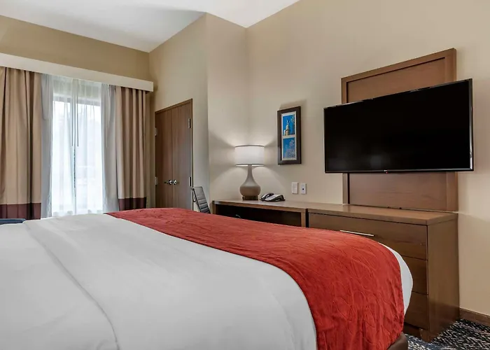 Comfort Inn & Suites Downtown Near University