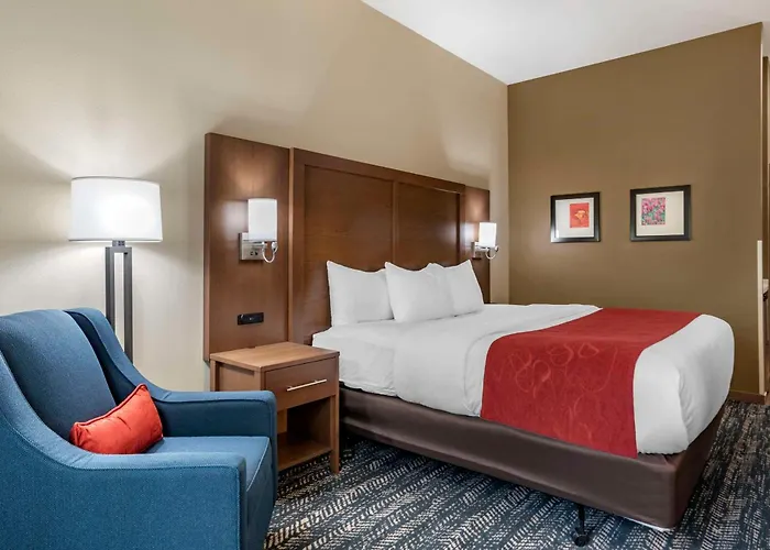 Comfort Inn & Suites Downtown Near University