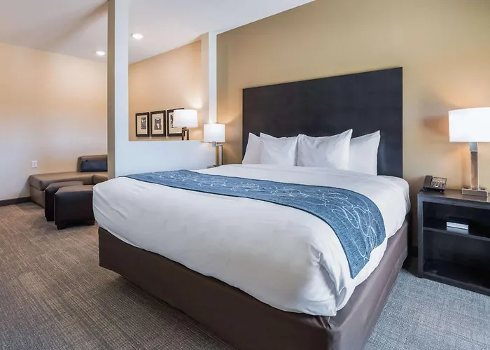 Comfort Suites Marysville Columbus - Northwest