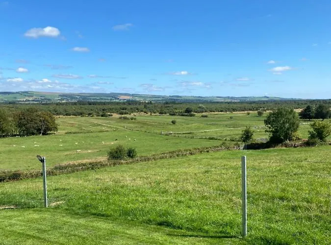 Craigend Farm Holiday Pods - The Woolly Sheep