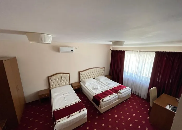 Hostel Paltinis