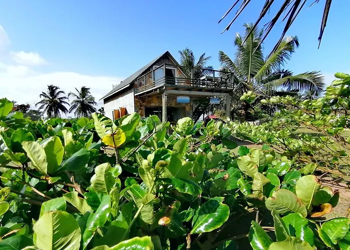 Afro Beach Eco Resort Butre