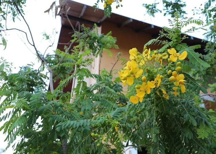 Lolu Village Resort