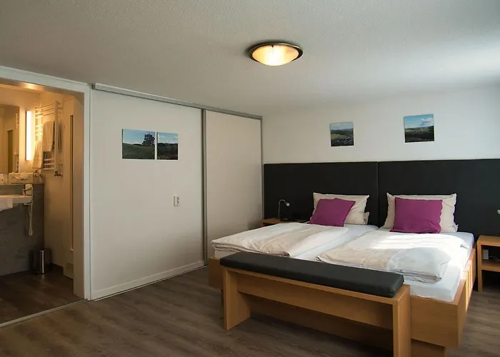 Hotel Hollaender Hof