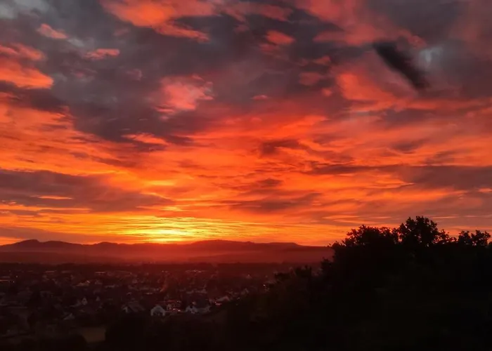 Der Florenberg - Gipfel für Genießer