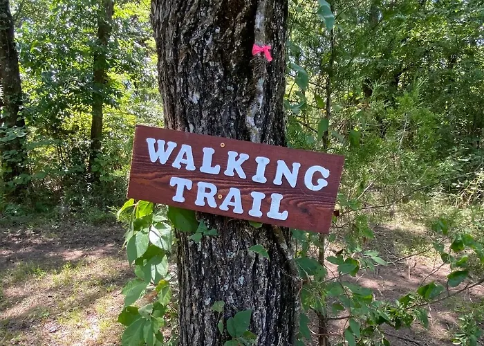 The Woods Lodging