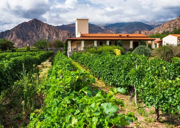 Vinas De Cafayate Wine Resort