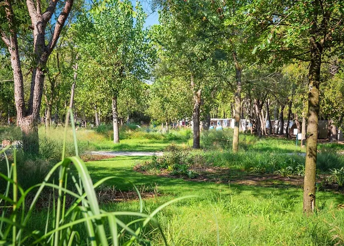 Camping Ca' Savio
