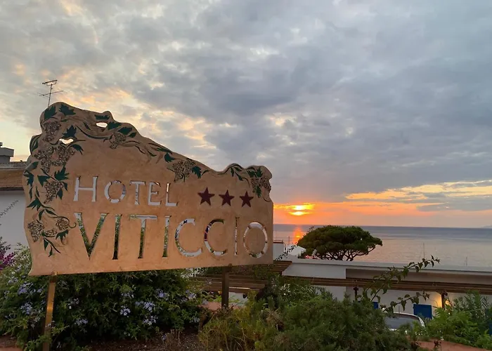 Hotel Viticcio