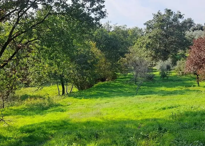 Agricampeggio La Casa Di Nicla