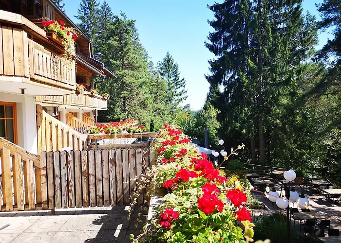 Ribno Alpine Hotel