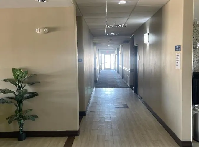 La Plaza Inn And Suites - Freer Tx