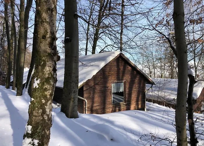 Holzhaus unter Buchen