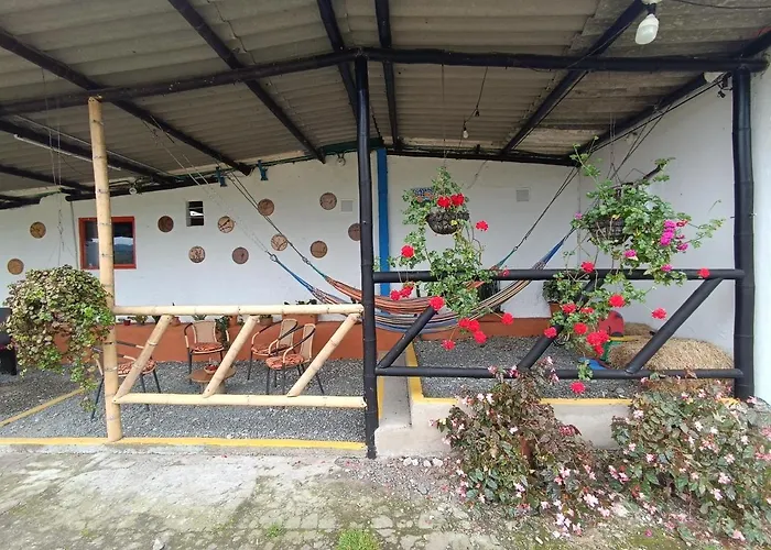 El Zorzal