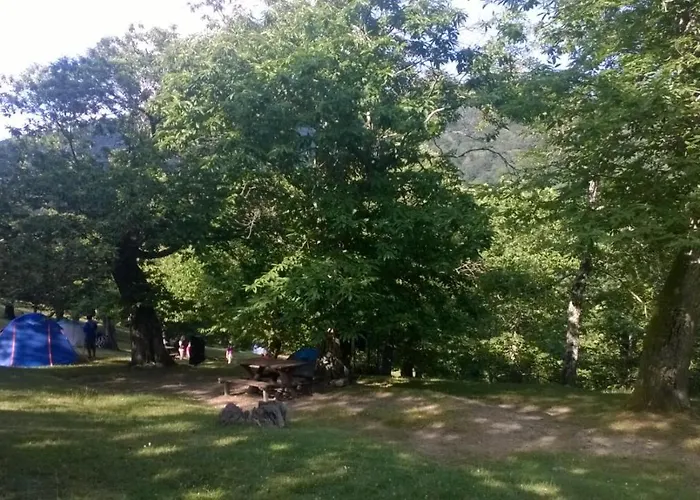 Camping Camaldoli