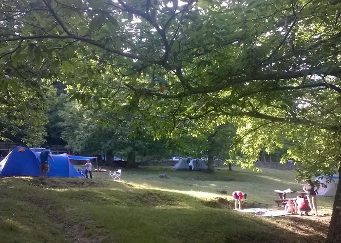 Camping Camaldoli