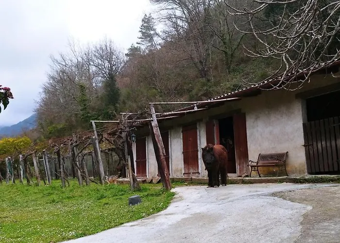 Agricamping Ponteraggio N.1