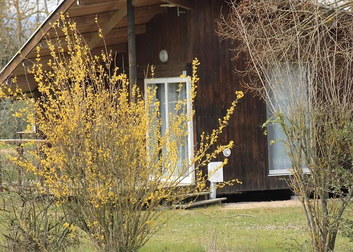 Camping De La Chalaronne