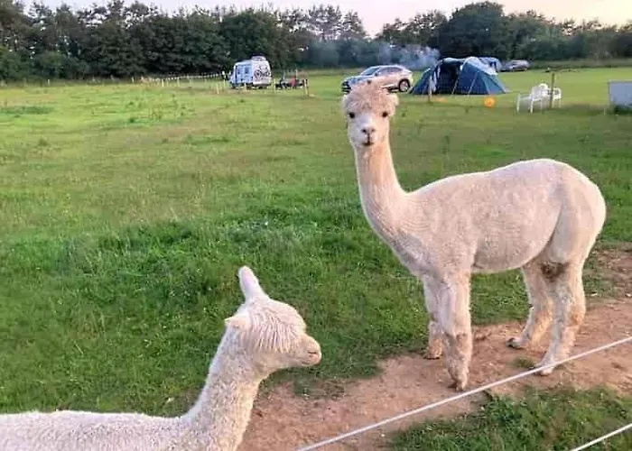 Two Jays Farm