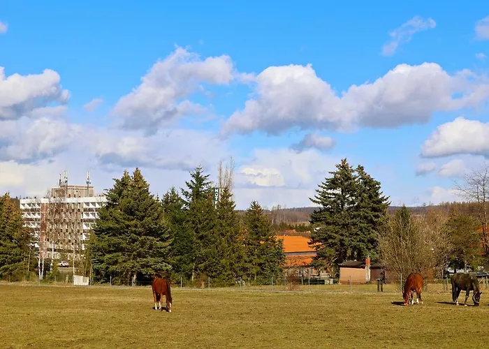 Carea Harz Hotel Allrode