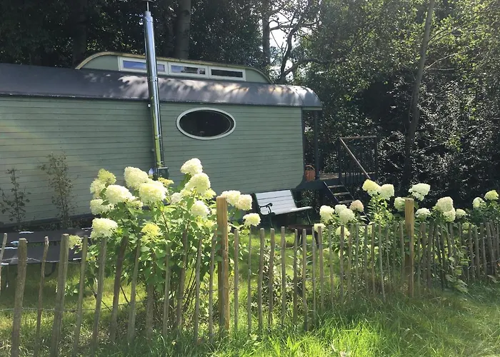 Historischer Zirkuswagen Inmitten Der Natur