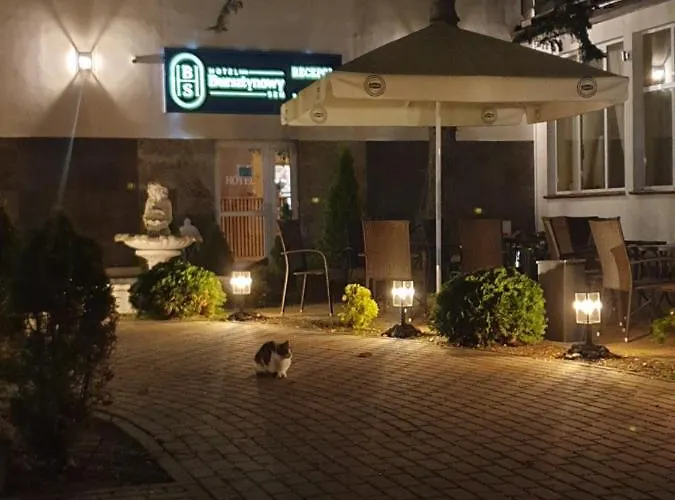 Bursztynowy Sen Stegna