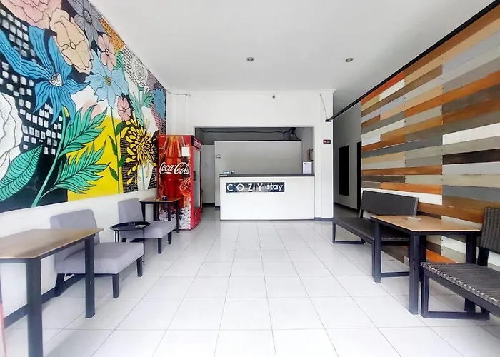 Cozy Stay Kupang