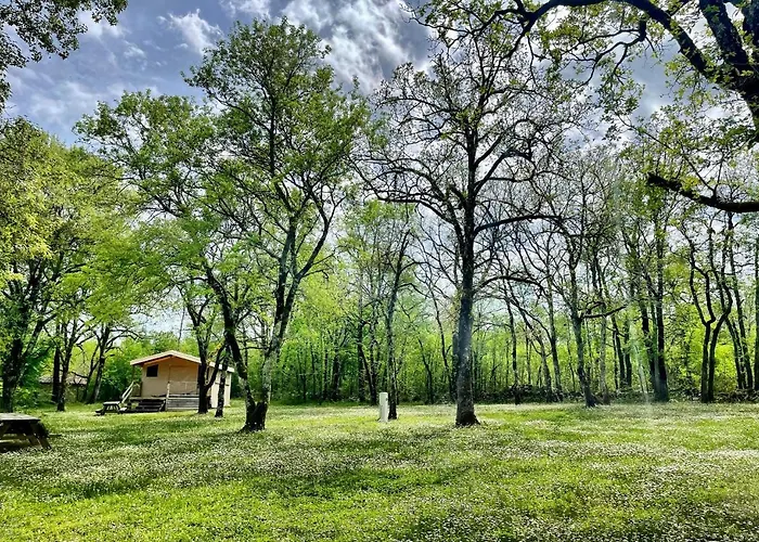 Lodges Du Bois Dodo