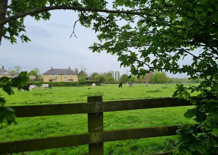 Mulberry Cottage Farm