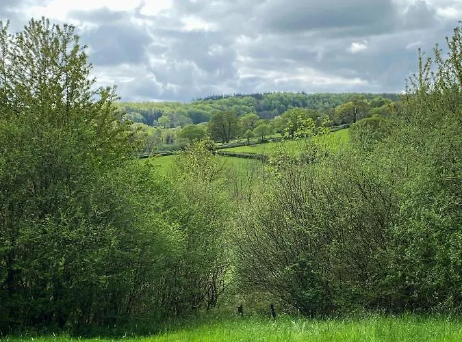 Oak Shepherds Hut